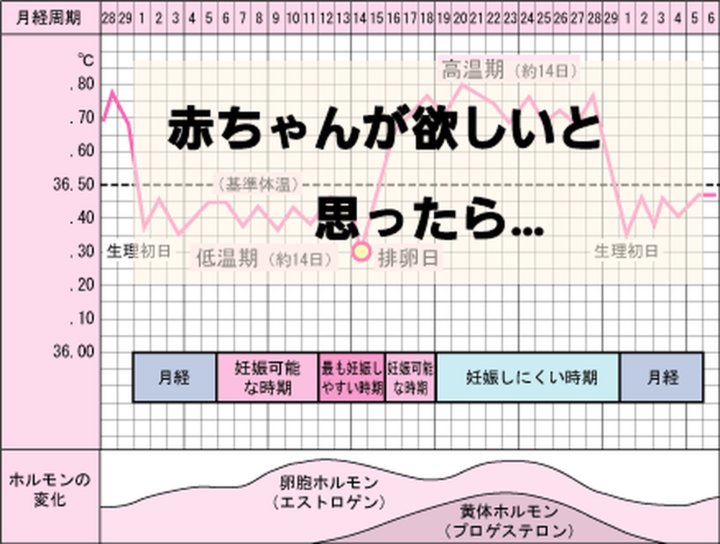 赤ちゃんが欲しいと思ったら・・・