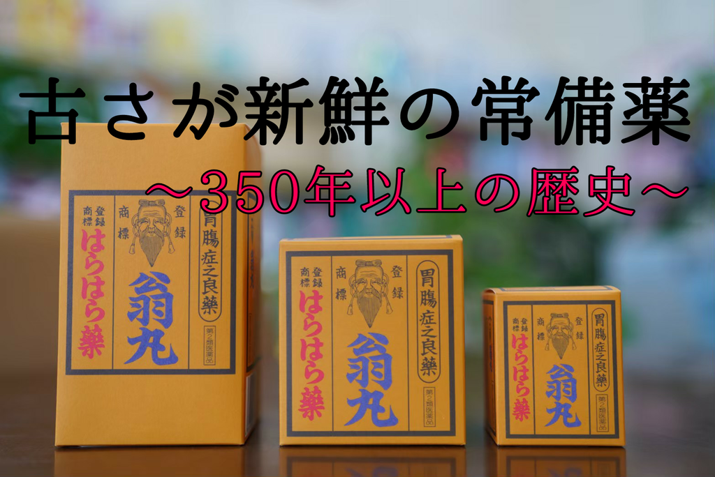 古さが新鮮！「はらはら薬 翁丸」